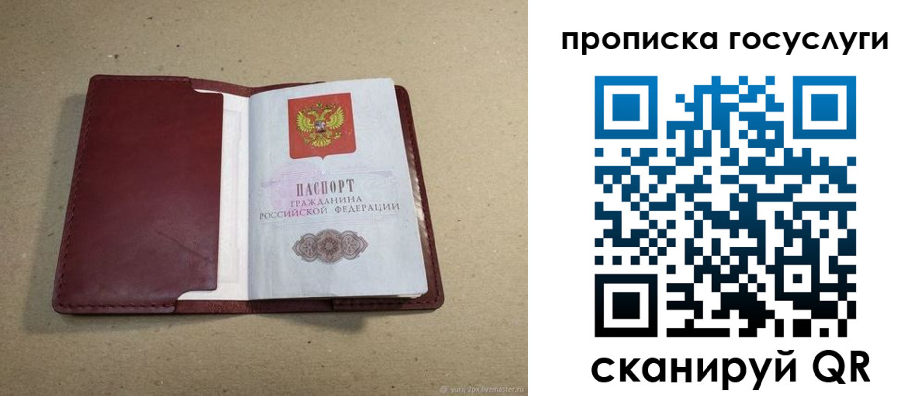 прописка поиск в Белгороде